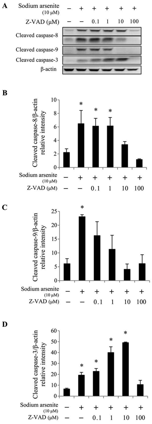 Figure 6.