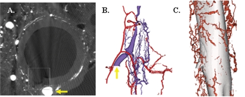 Fig. 10