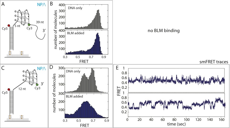 Fig. S9.