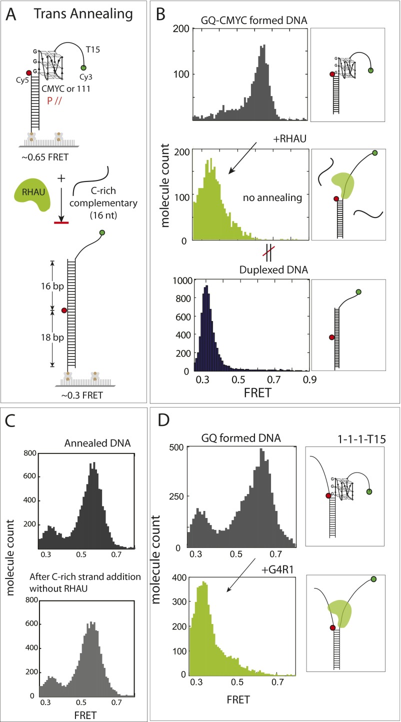 Fig. S5.