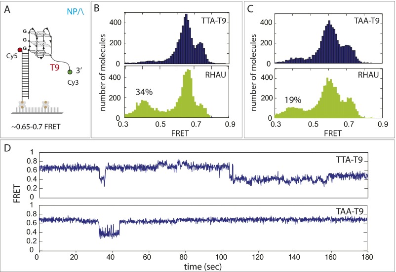 Fig. S3.