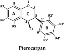 graphic file with name molecules-23-01403-i005.jpg