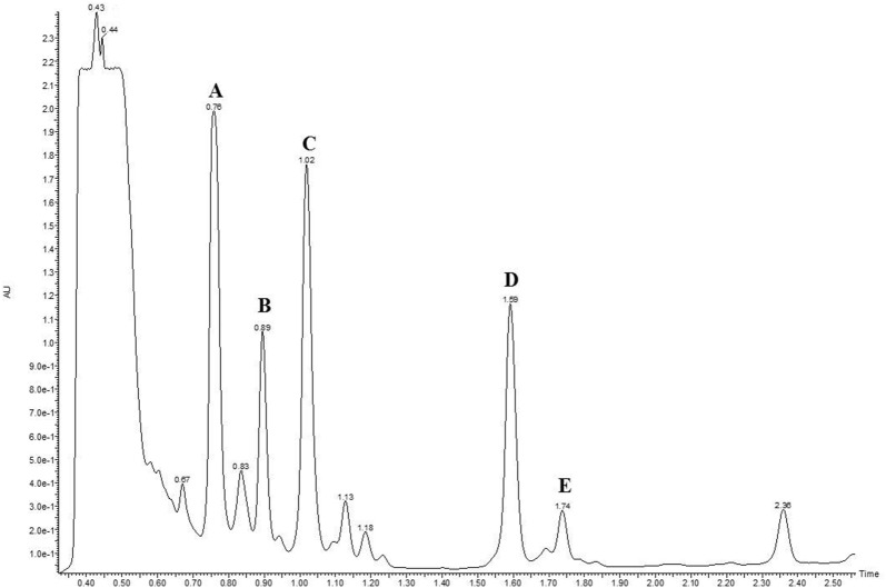 Fig. 5