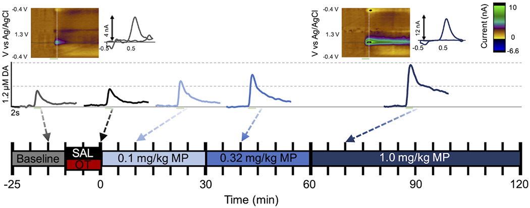 Figure 3: