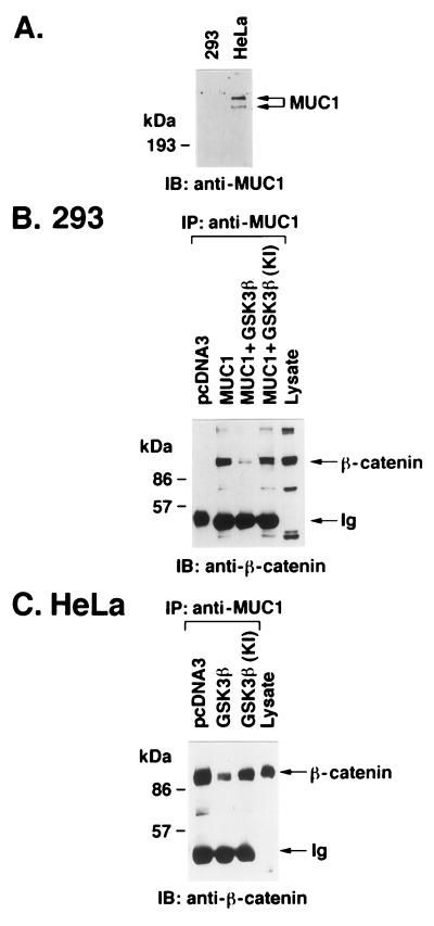 FIG. 5