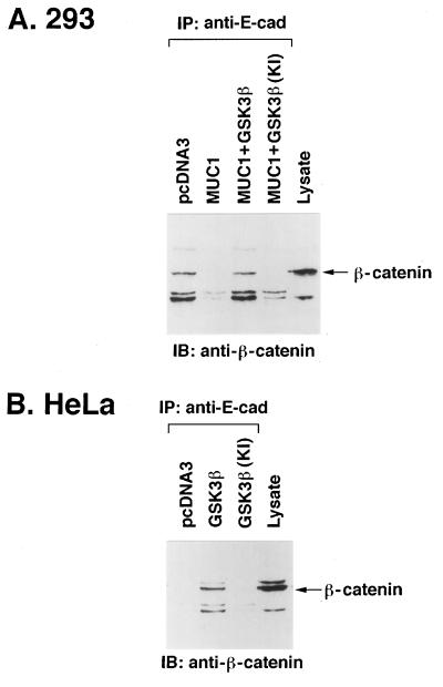 FIG. 8