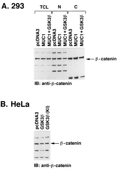 FIG. 6