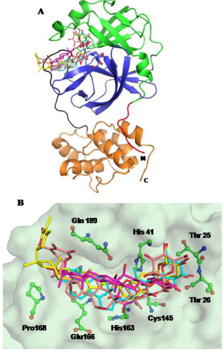 Figure 6.