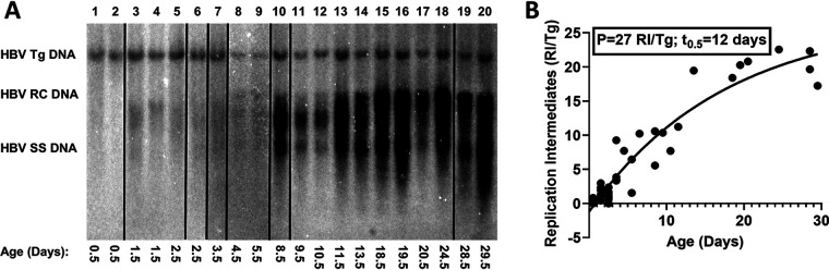 FIG 3