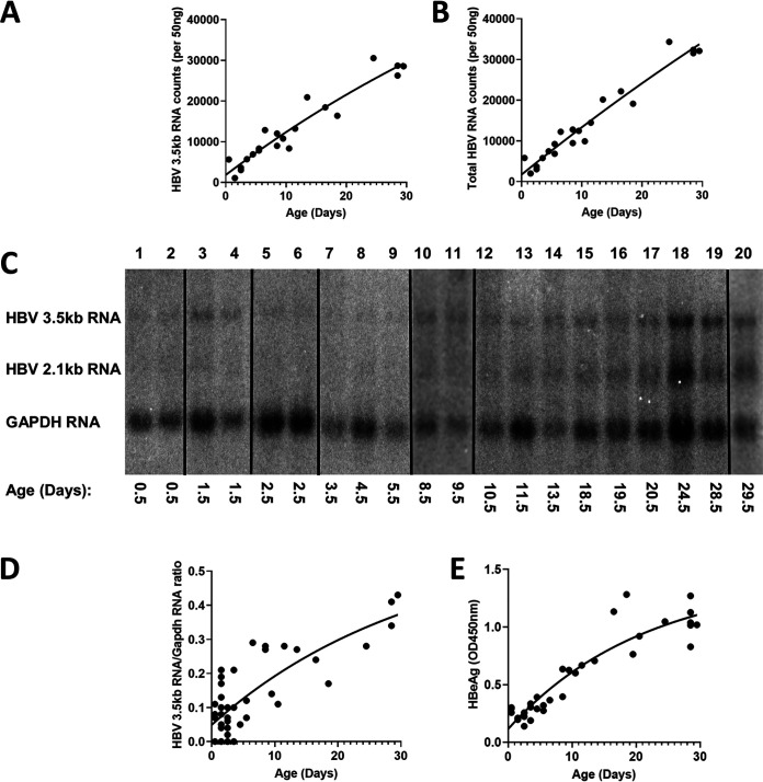 FIG 2