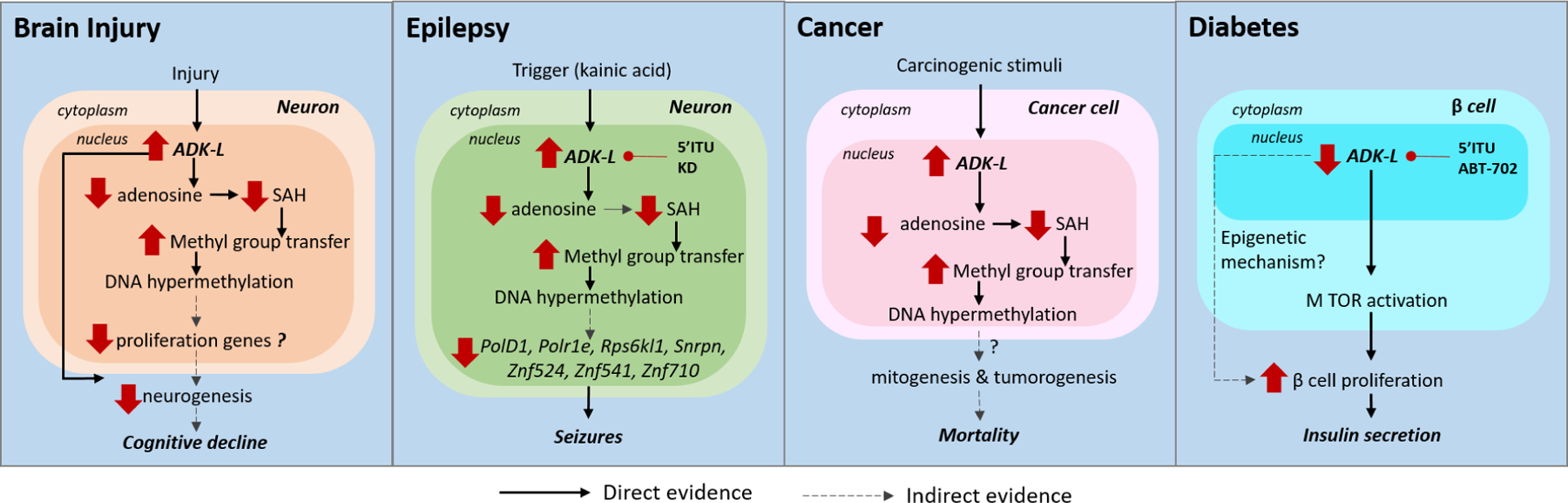 Figure 3: