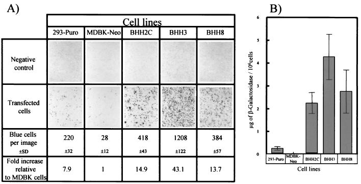 FIG. 8.