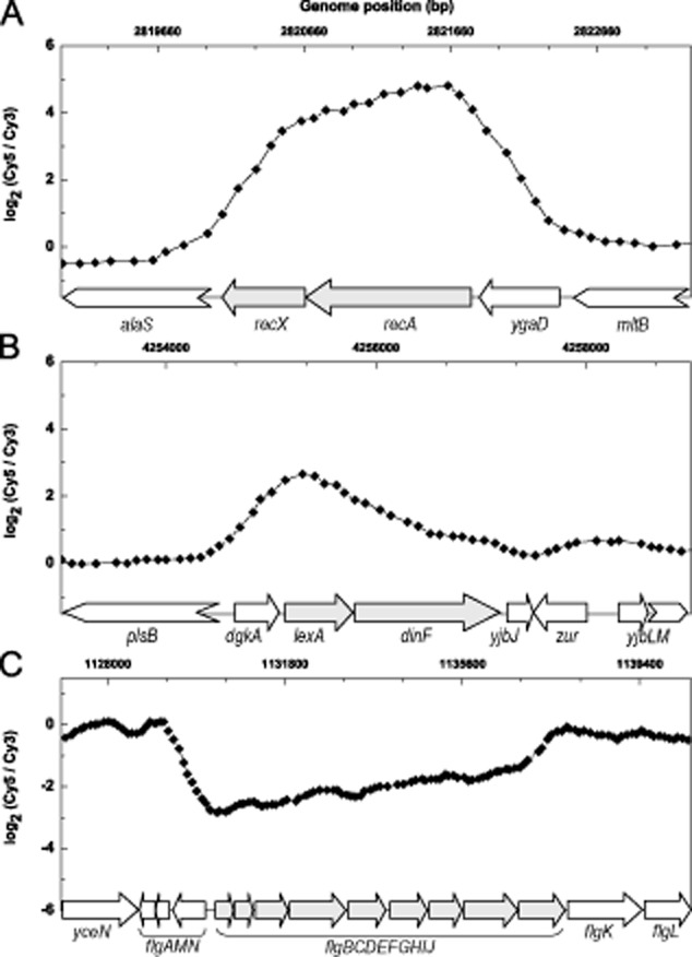 Fig. 3