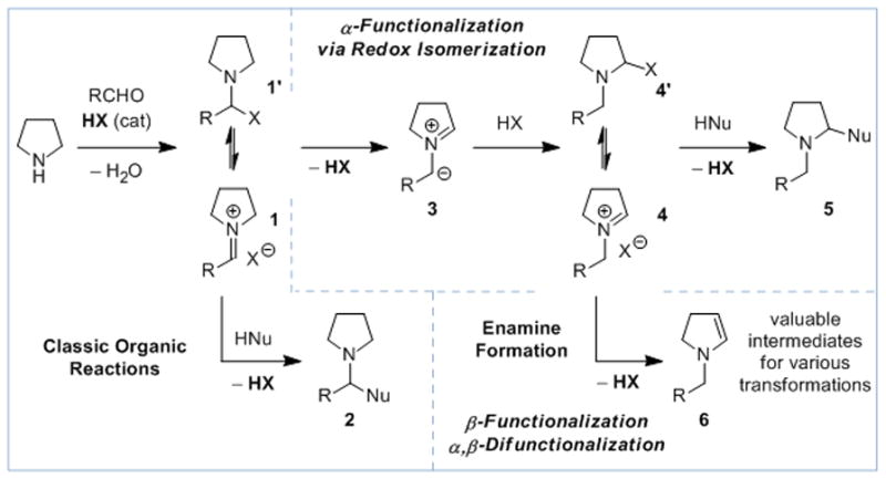 Scheme 1