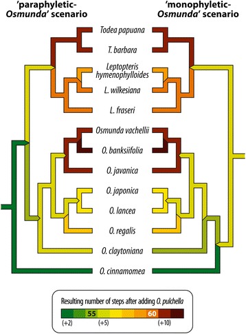 Fig. 11