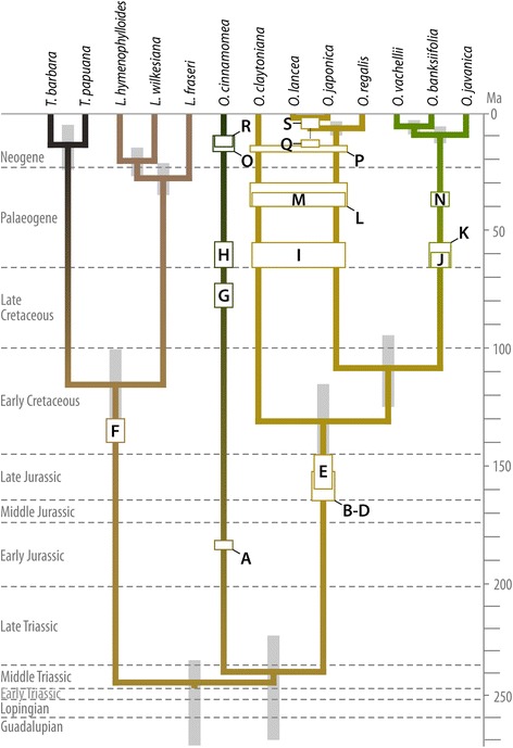 Fig. 13