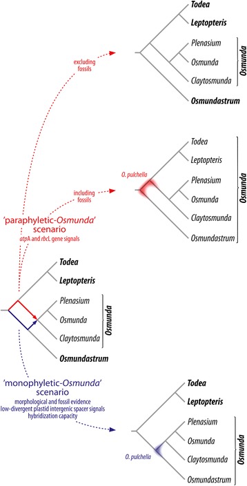 Fig. 12