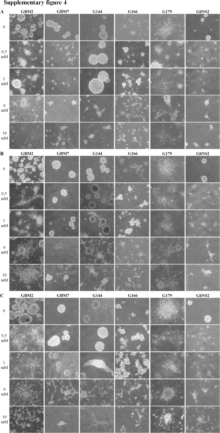 Supplementary Fig. IV