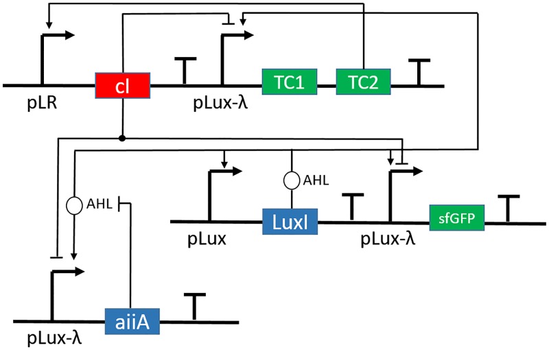 Fig 3