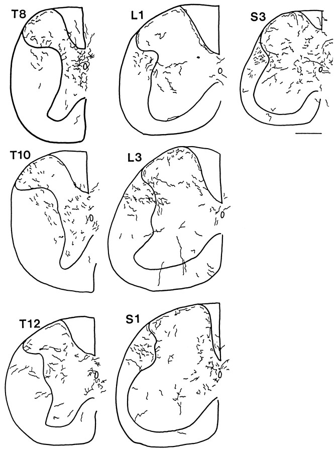 Fig. 8.