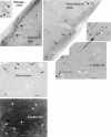Fig. 9.