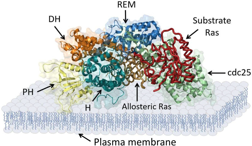 Figure 1.