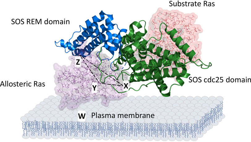 Figure 6.