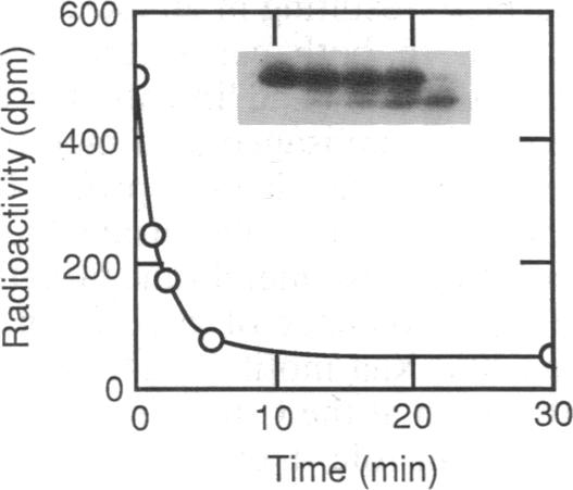 graphic file with name pnas00290-0199-a.jpg