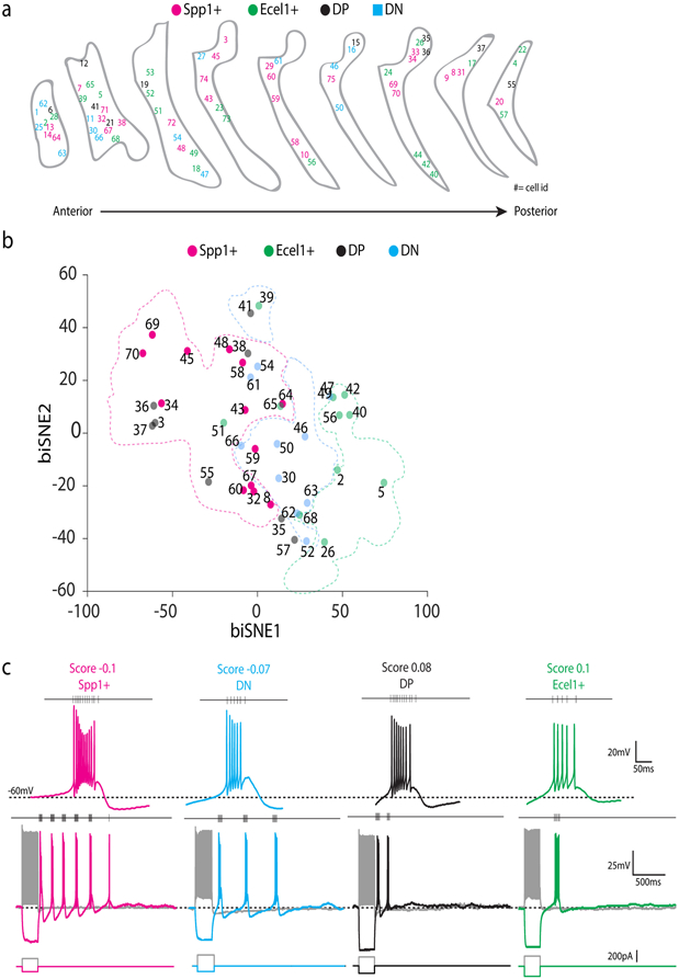 Extended Data Figure 5.