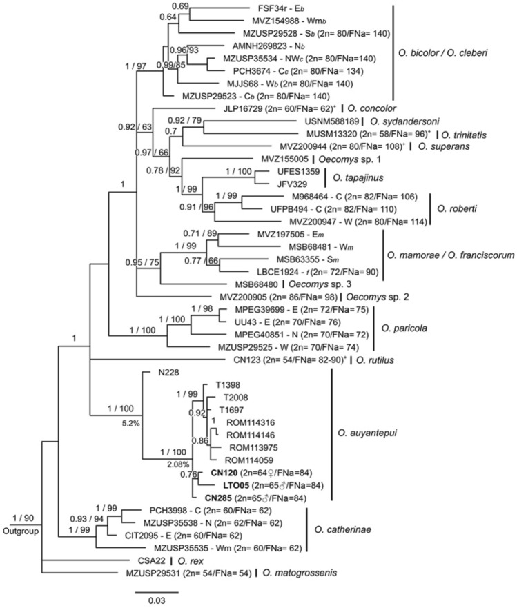 Figure 5