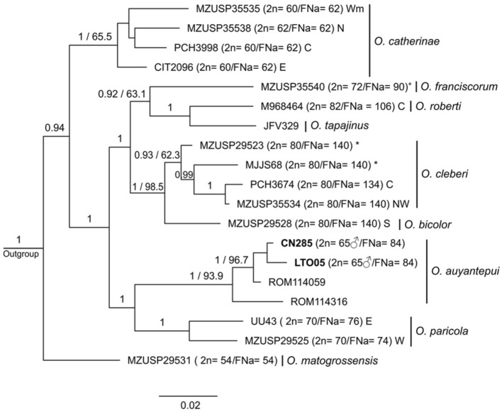 Figure 6