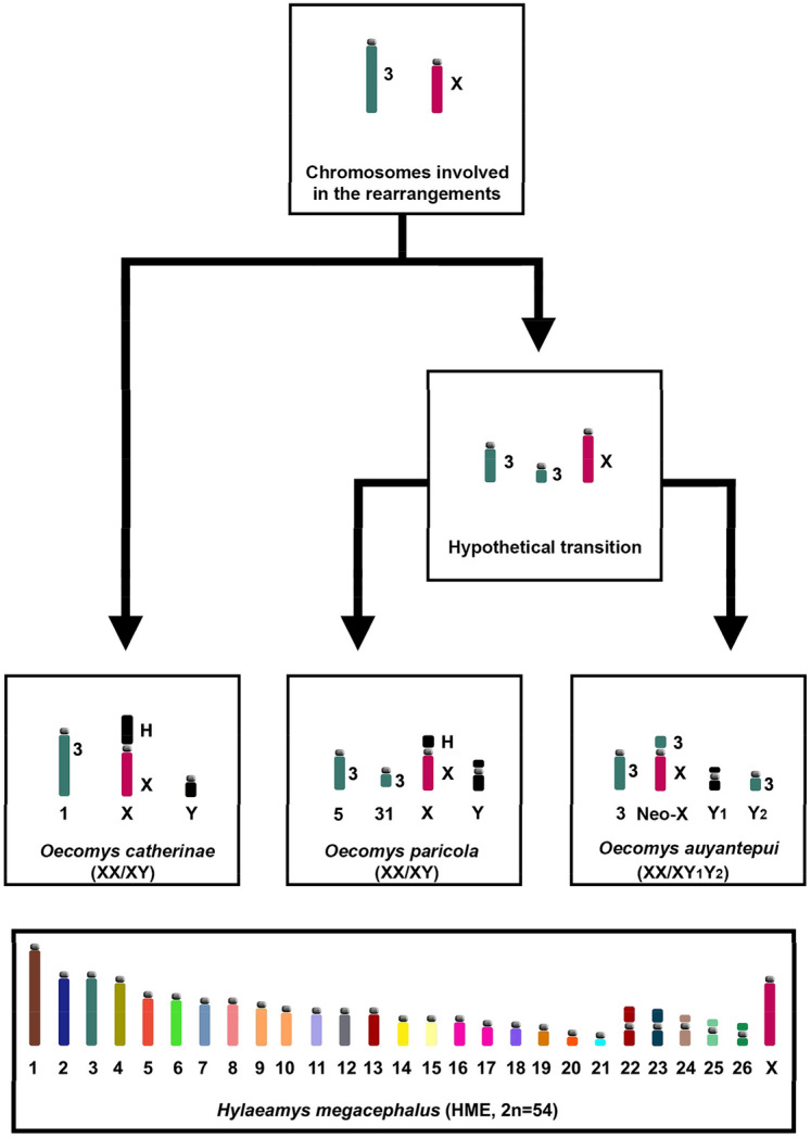 Figure 7