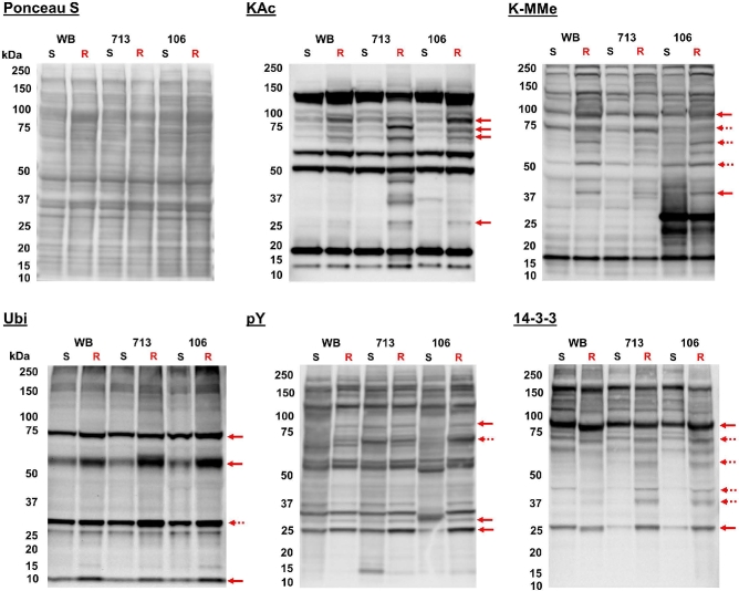 Figure 5: