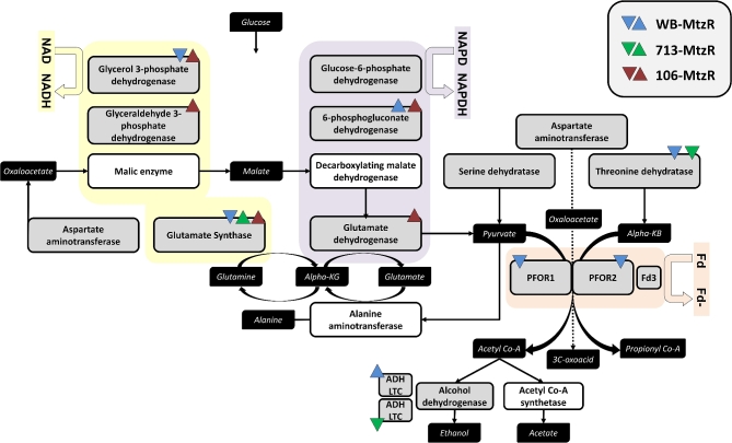 Figure 4: