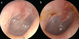 Figure 1. a, b