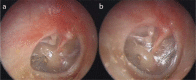 Figure 2. a, b