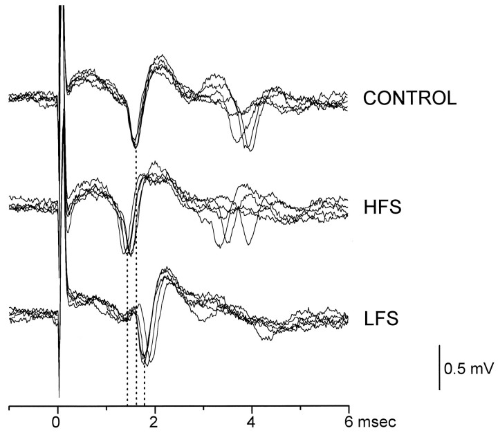 Fig. 5.