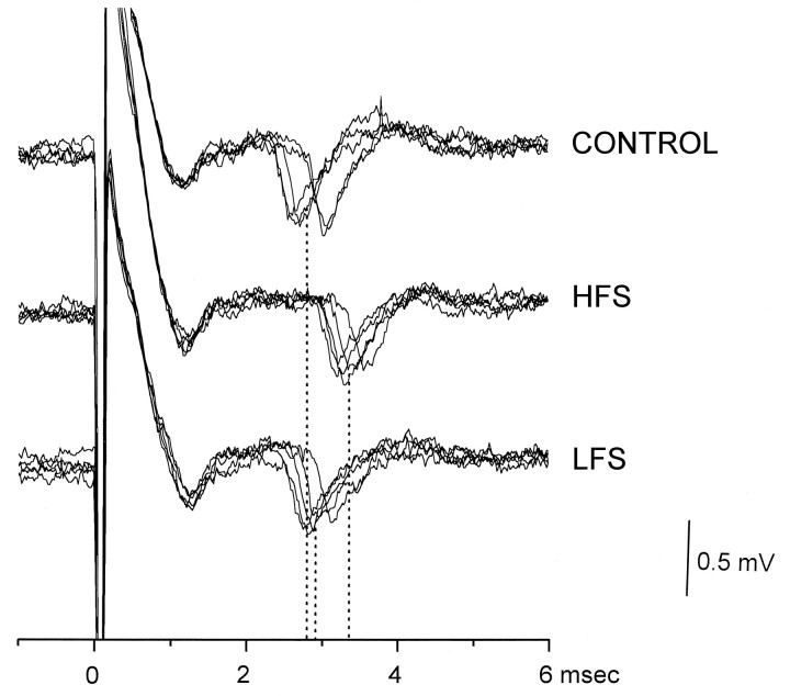 Fig. 8.