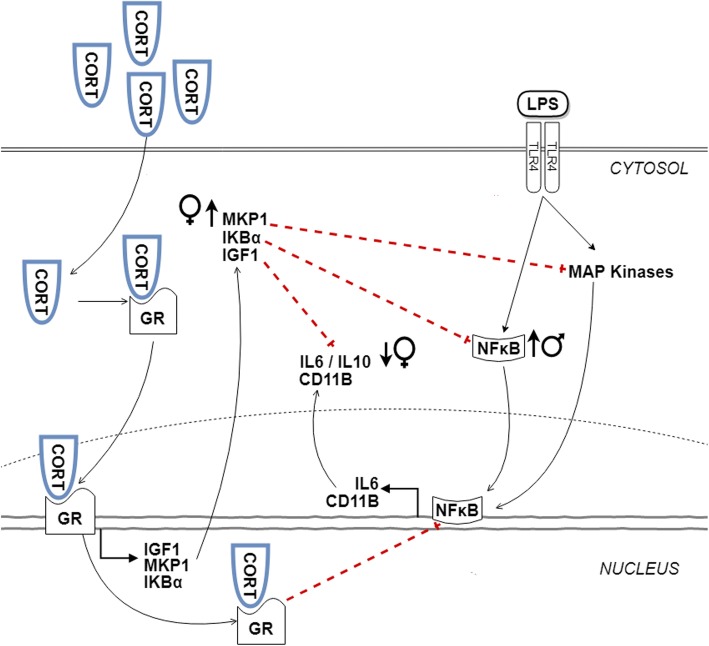 Fig. 10