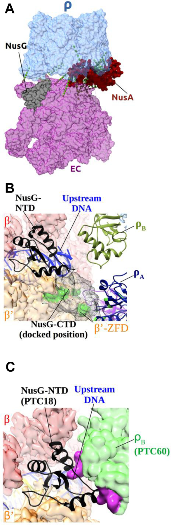 Figure 4.