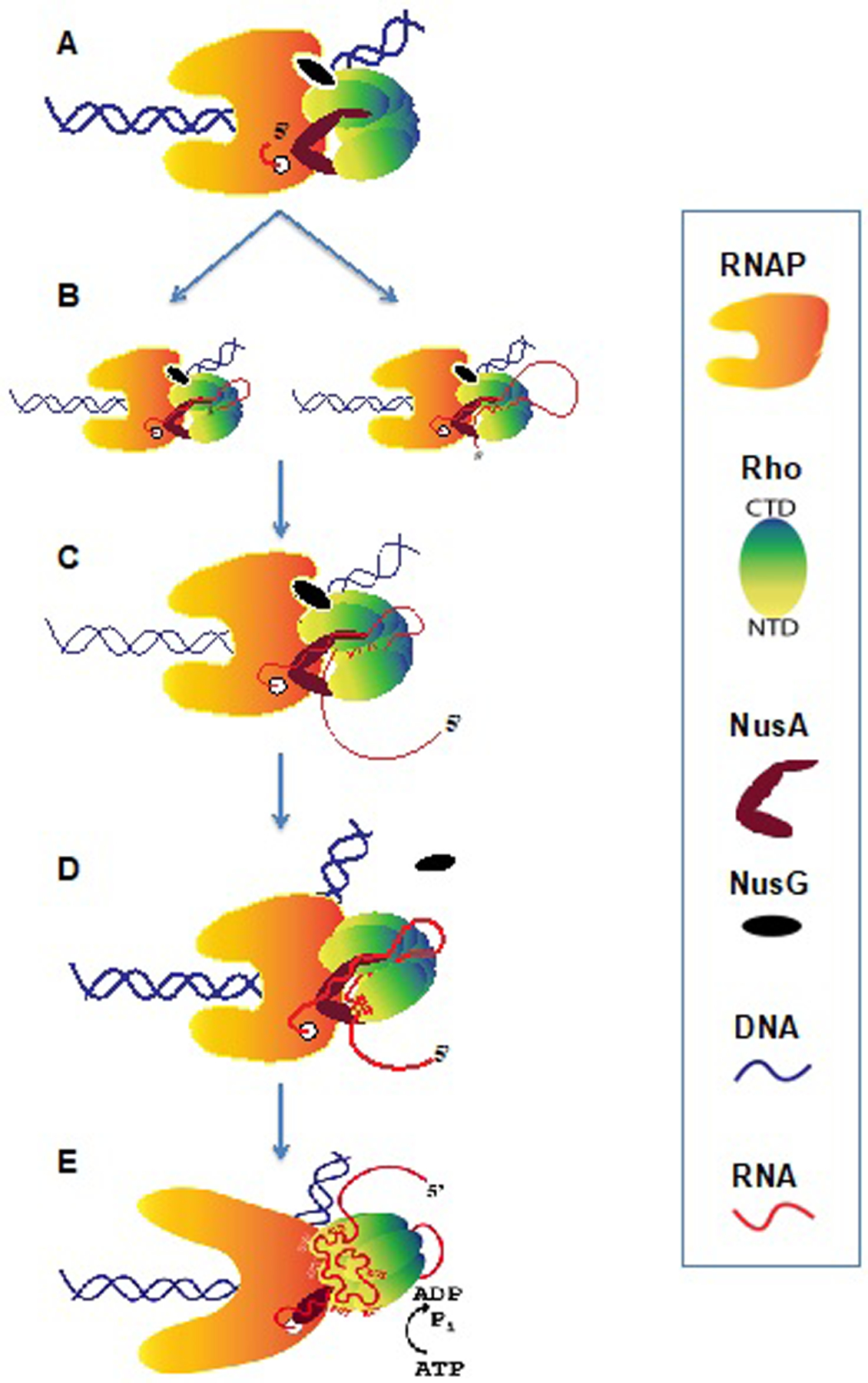 Figure 7.