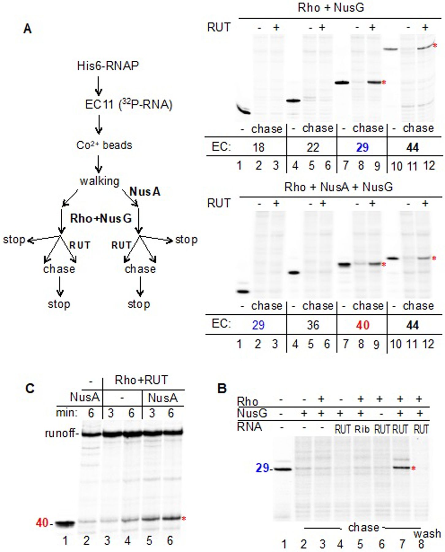 Figure 6.