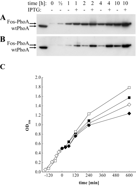 Fig. (3)