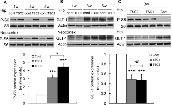 Figure 4.