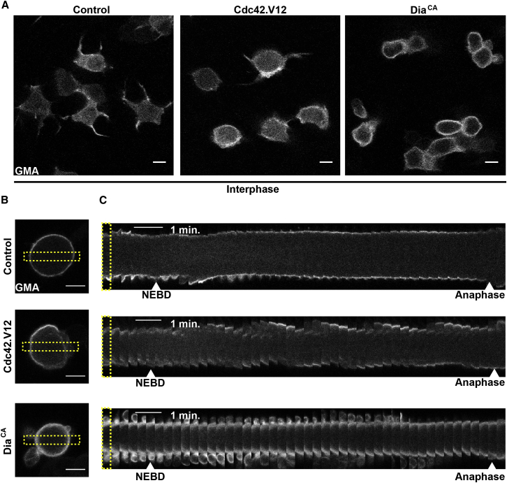 Figure 6