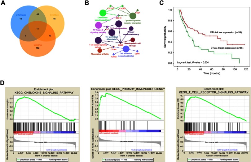 Identification Of Hub Genes And Key Pathways Associated With Angioimmunoblastic T Cell Lymphoma