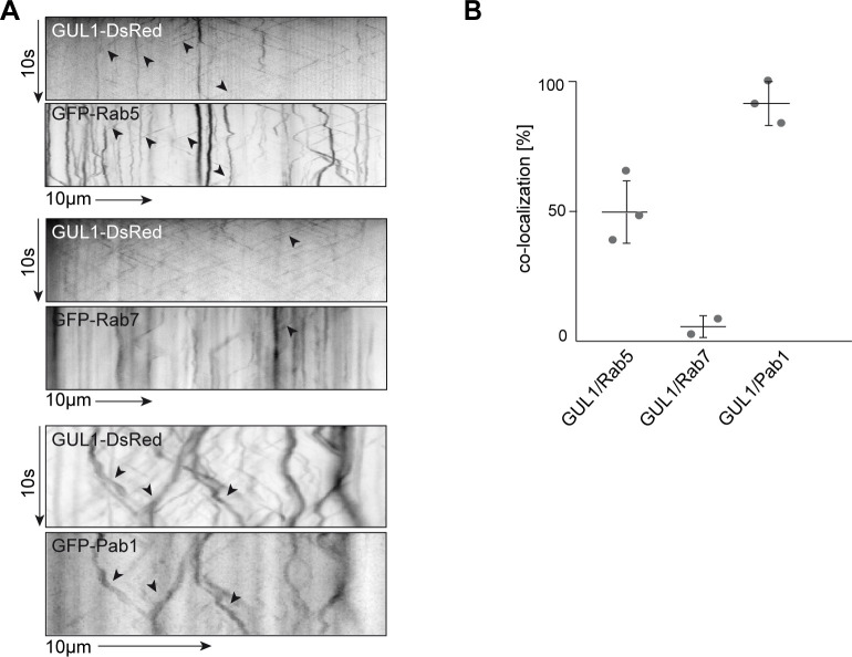 Fig 8