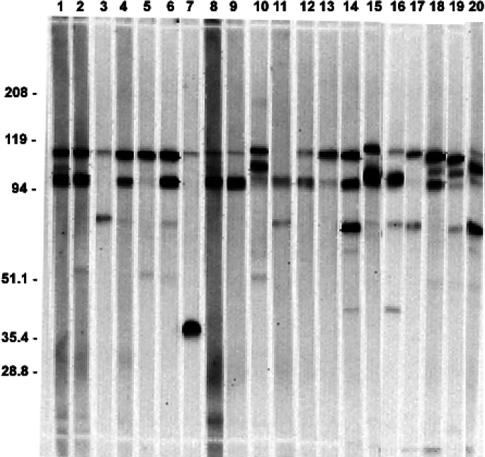 Fig. 2