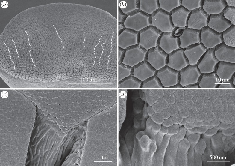 Figure 3.