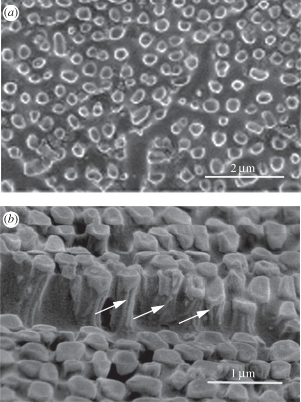 Figure 4.